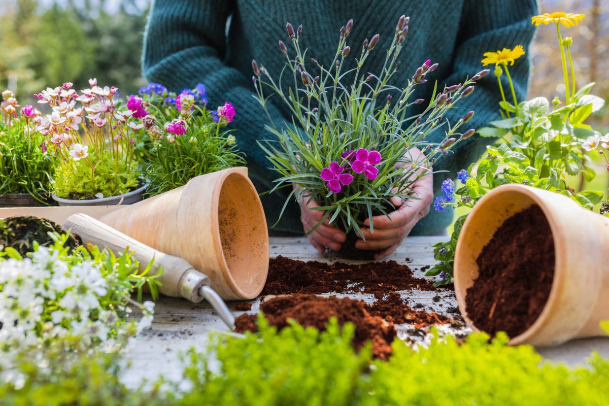 Twój ogród-Twój najlepszy przyjaciel czyli dlaczego warto uprawiać rośliny?