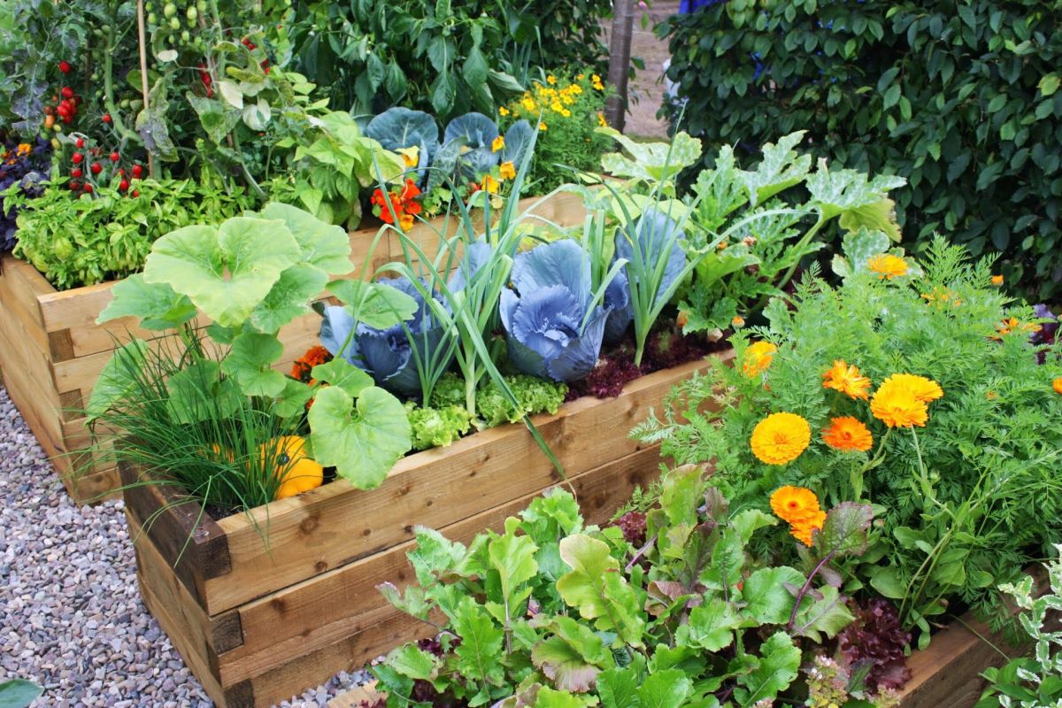 Kiedy i jak zacząć planowanie ogrodu-warzywnych grządek i kwietnych rabat?