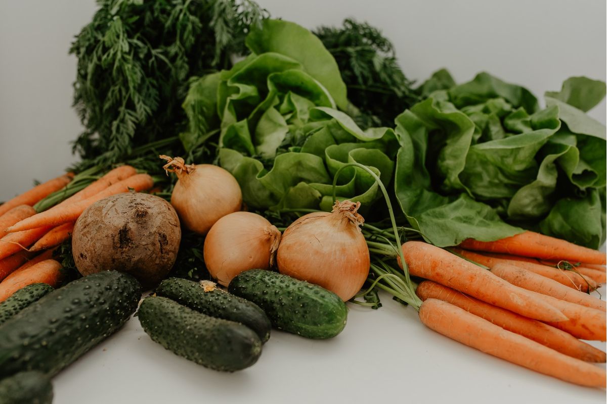 Warzywa łatwe w uprawie – poznaj nasze TOP 10!