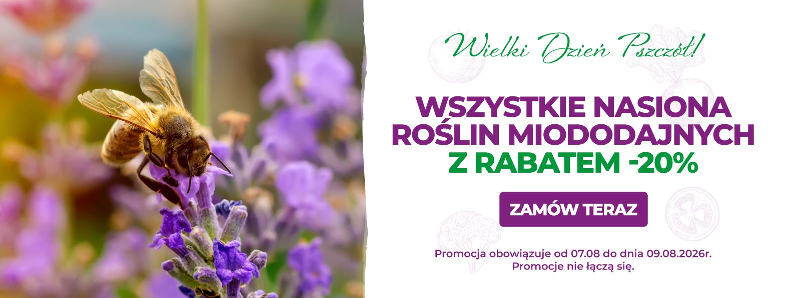 Nasiona roślin miododajnych z rabatem -20%