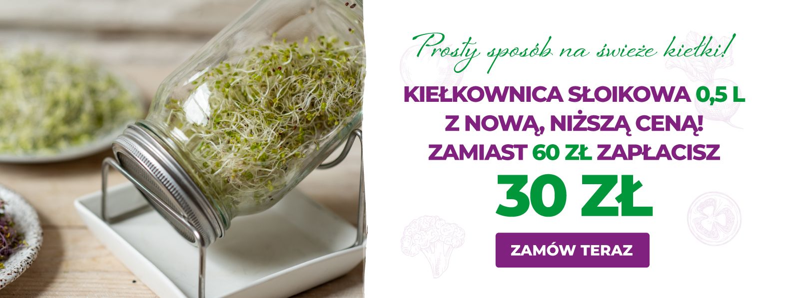 Kiełkownica szklana 0,5 za 30 zł!