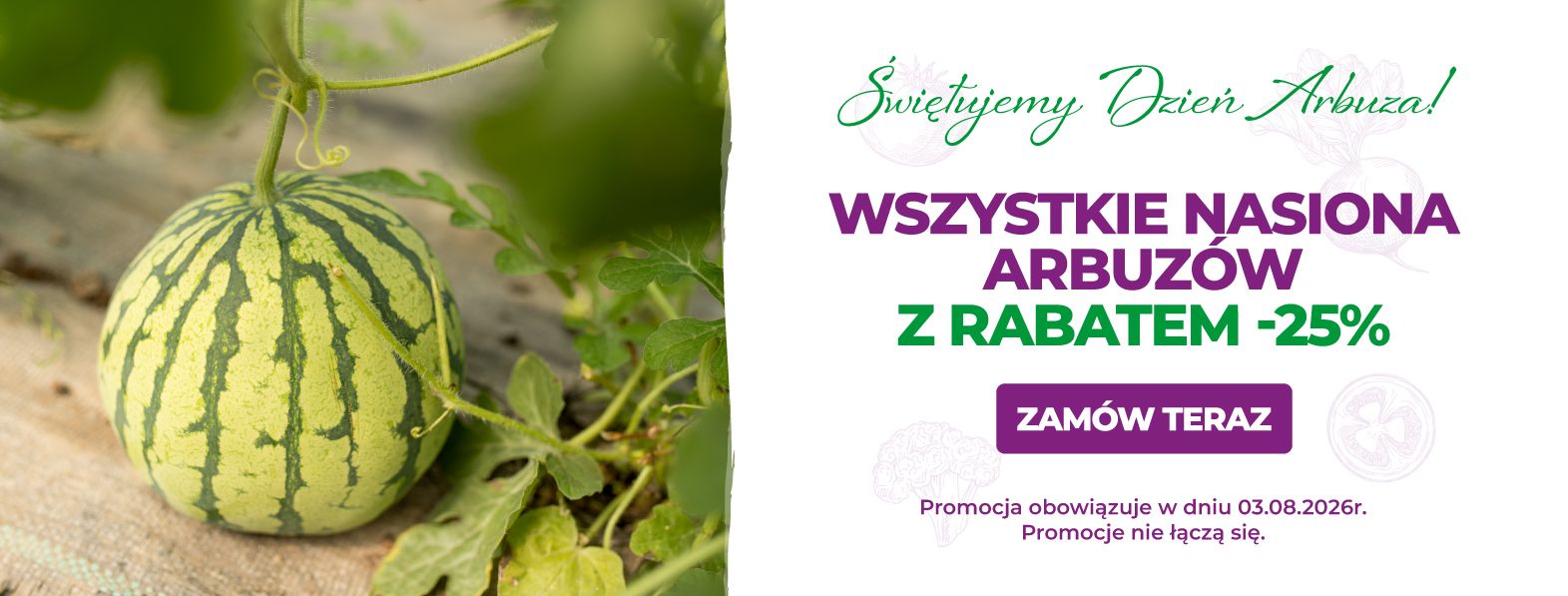 Nasiona arbuzów z rabatem -25%