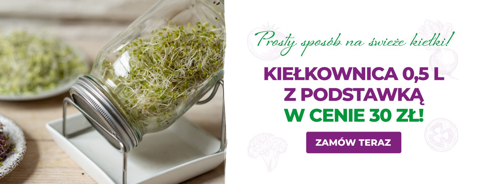 Kiełkownica szklana 0,5 za 30 zł!