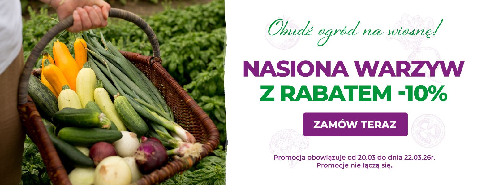 Nasiona warzyw z rabatem -10%