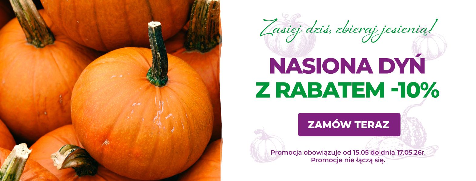 Nasiona dyń -10%
