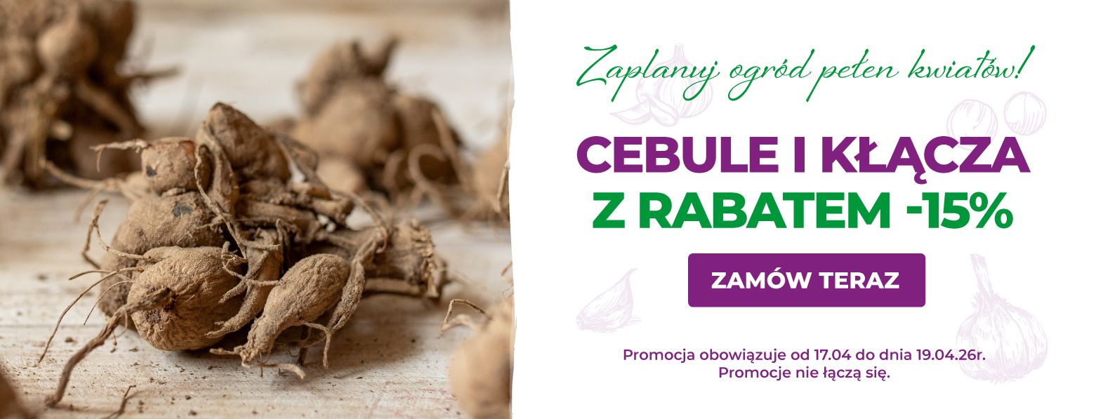 Cebule kwiatowe z rabatem -15%