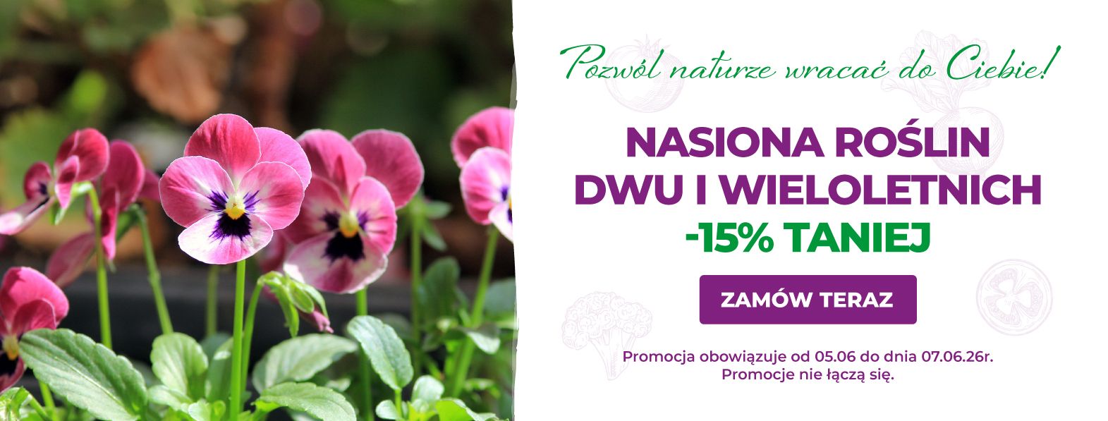 Nasiona roślin dwu i wieloletnich -15%