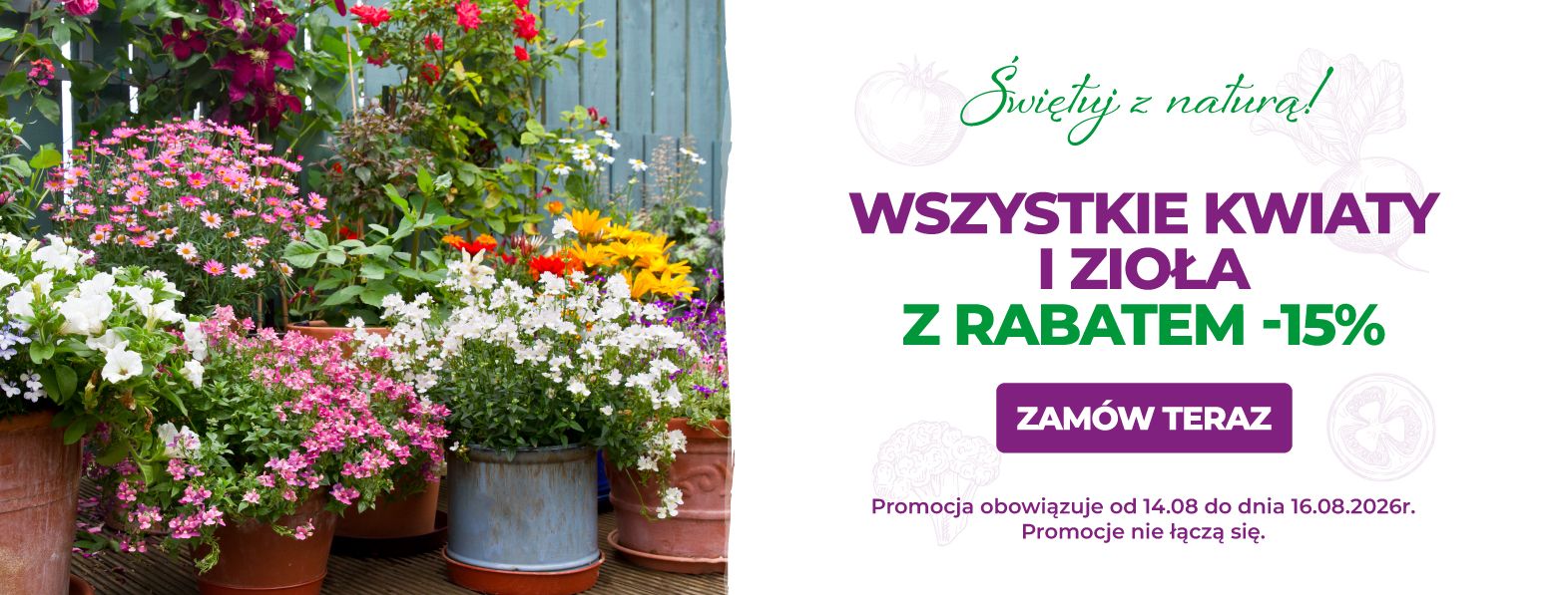 Nasiona kwiatów i ziół z rabatem -15%
